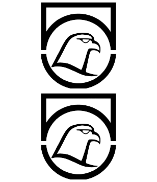 Logo - Falcon